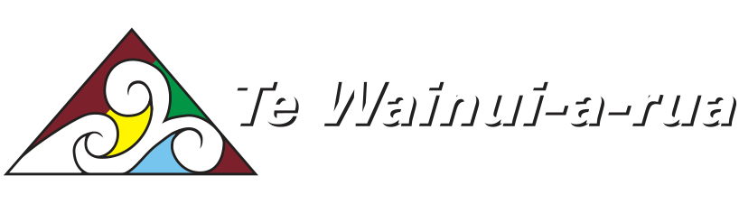 Te Kura o Te Wainua-ā-Rua